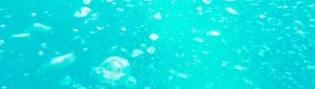 Day 078 – Key West, FL – Snorkeling